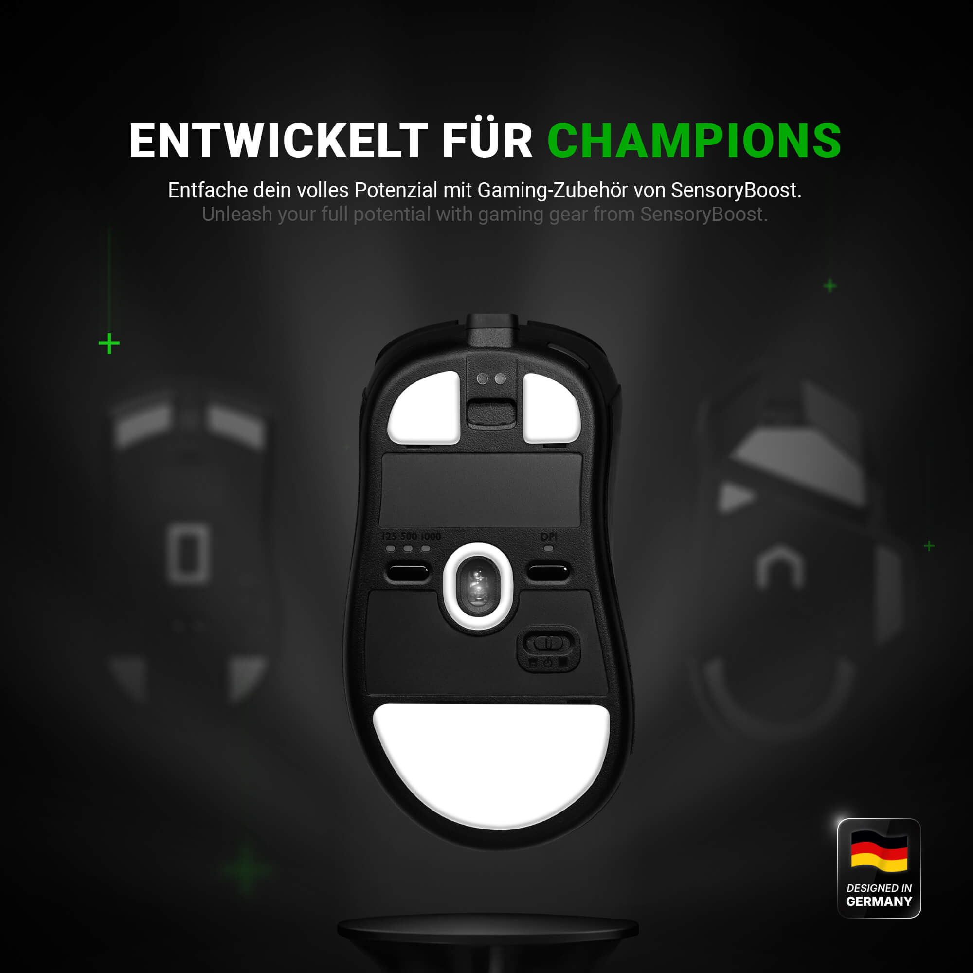 DPS Glides (2er Set) – für BenQ Zowie EC 1/2/3 CW