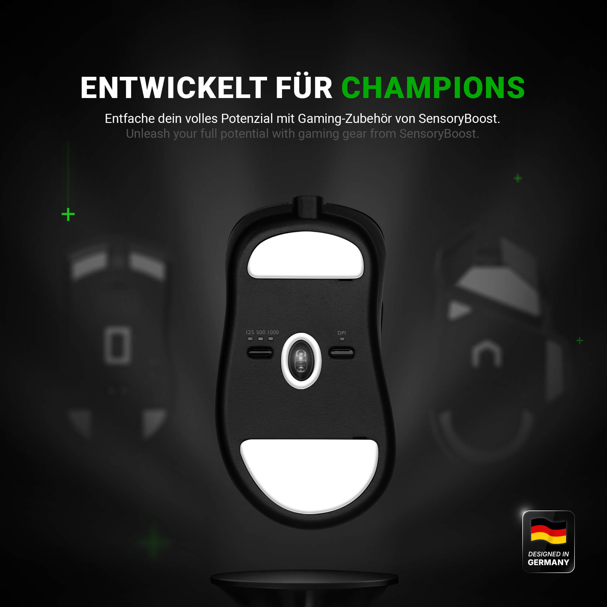 DPS Glides (2er Set) – für BenQ Zowie EC1/2 , EC1/2-A , EC 1/2/3-C