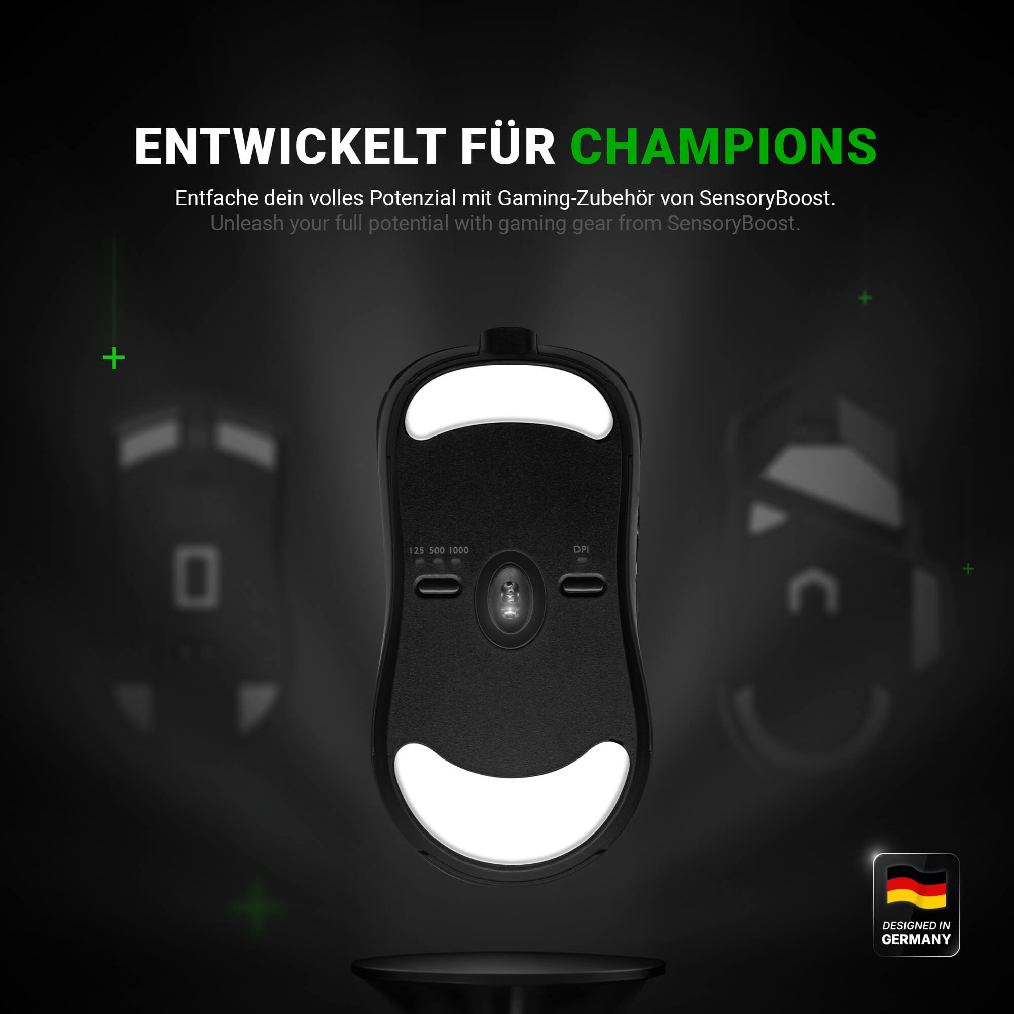 DPS Glides (2er Set) – für BenQ Zowie ZA13, ZA13-B, ZA13-C